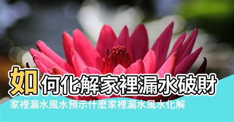 家裡漏水風水|壁癌、漏水等於漏財 財運、健康挫冽等